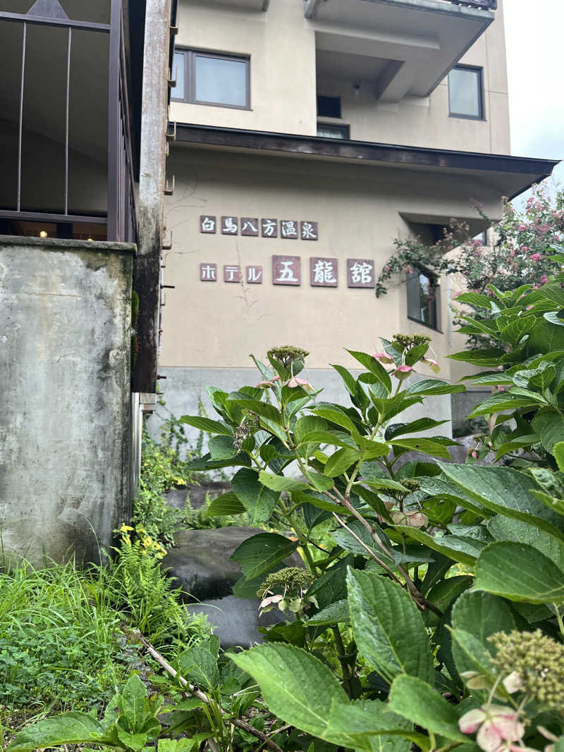 蒸しメガネさんのホテル五龍館のサ活写真