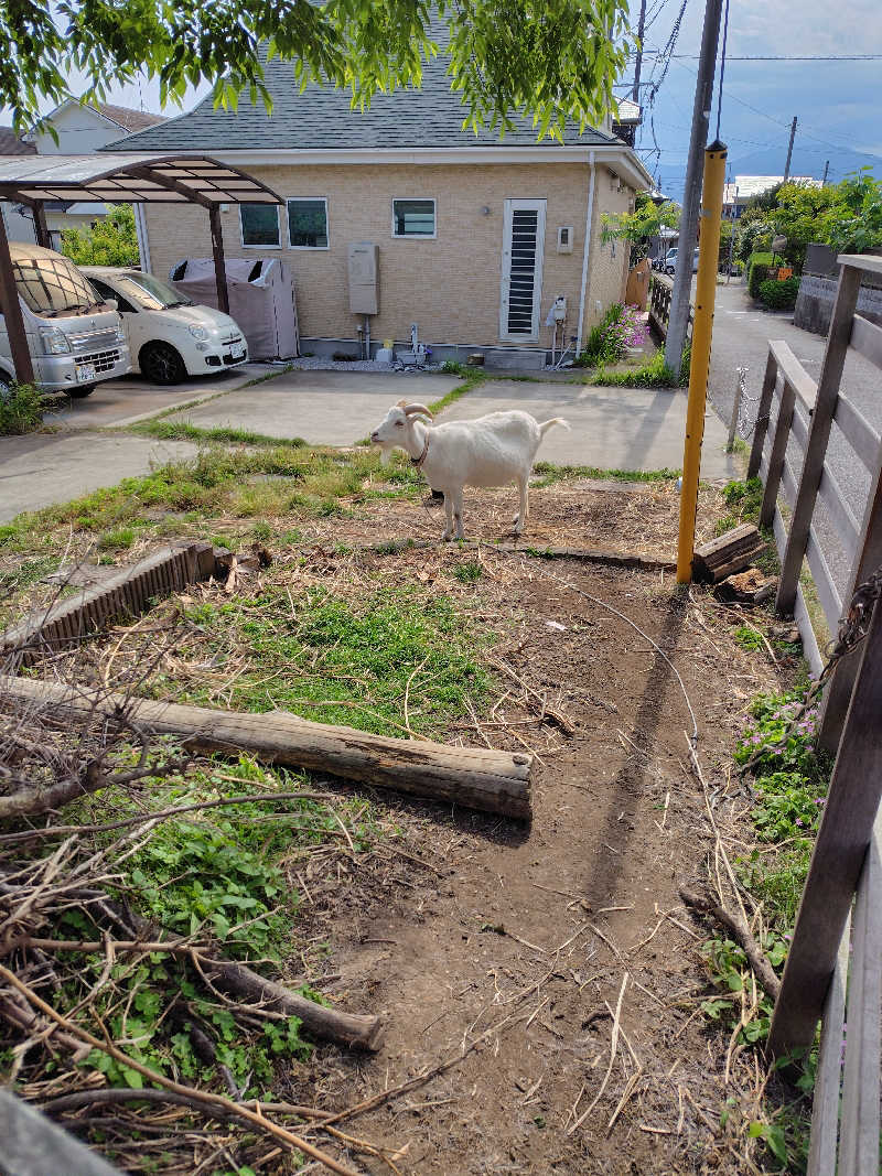 揺れたチンカーベルさんのサウナと水風呂 ODAWARA PRIVATE SAUNAのサ活写真