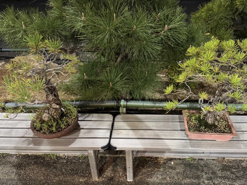 Omniさんのあかね温泉のサ活写真