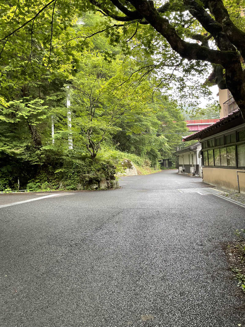 たまたまさんの鉛温泉 藤三旅館のサ活写真