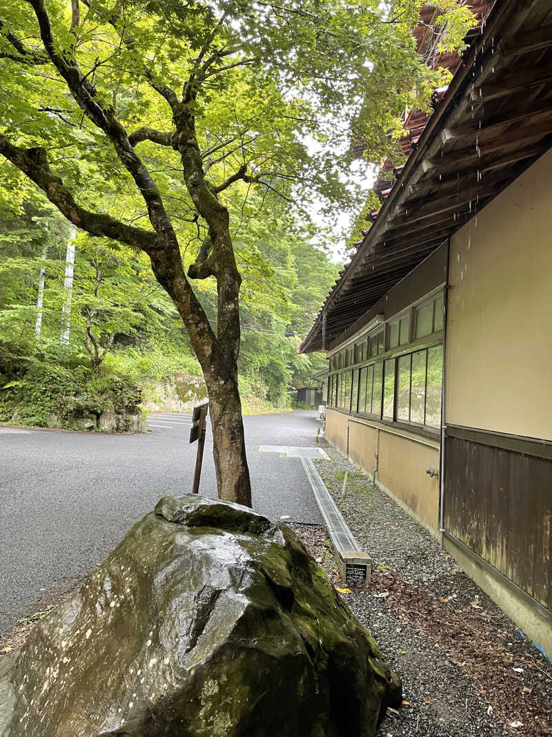 たまたまさんの鉛温泉 藤三旅館のサ活写真