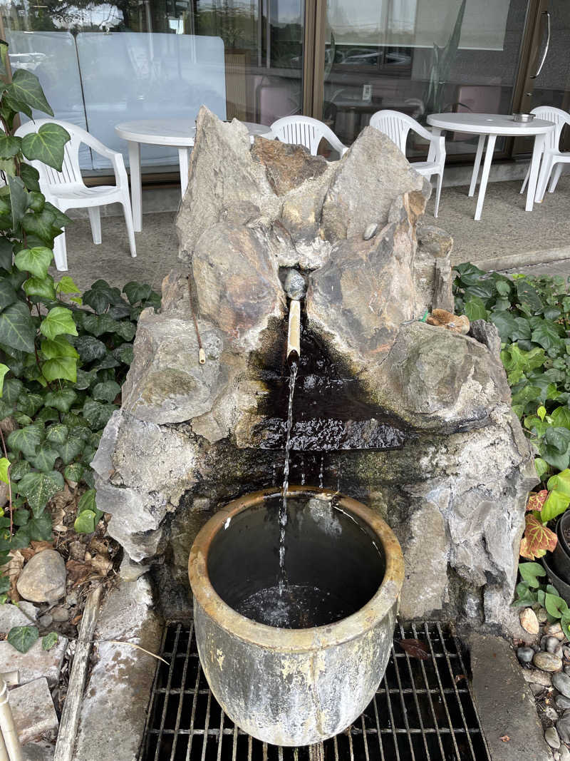 たまたまさんの千貫石温泉 湯元東館のサ活写真