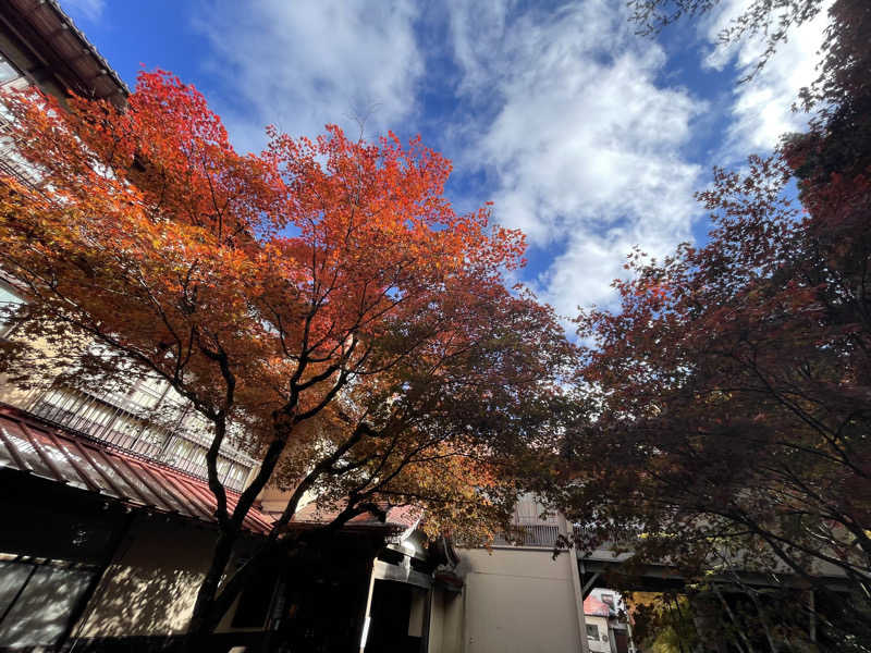 たまたまさんの鉛温泉 藤三旅館のサ活写真