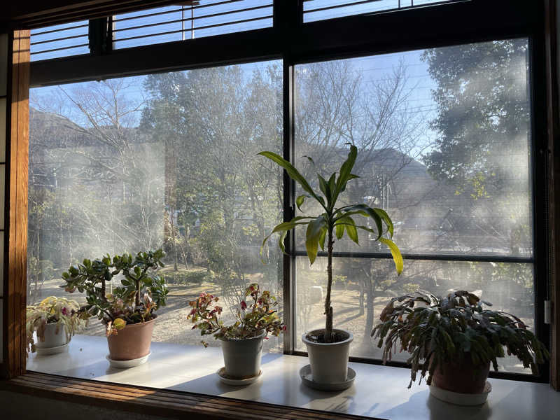 たまたまさんの紅葉館 きらくやのサ活写真