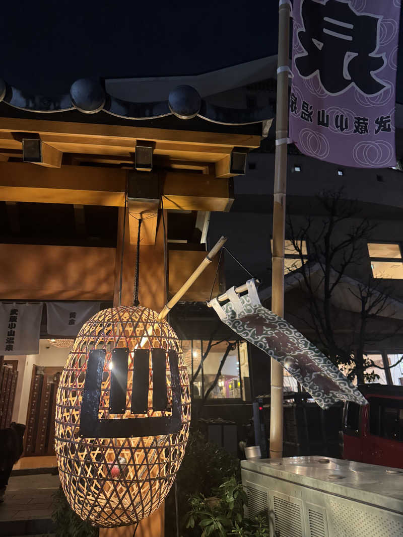 harucheleさんの武蔵小山温泉 清水湯のサ活写真