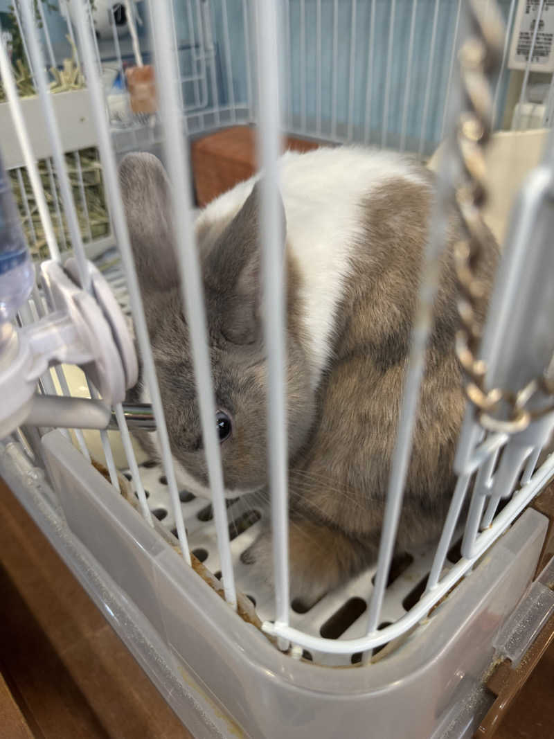 ニンジャチョーク　ポペガーー！さんのアクアリゾート 岐阜ふじの湯のサ活写真