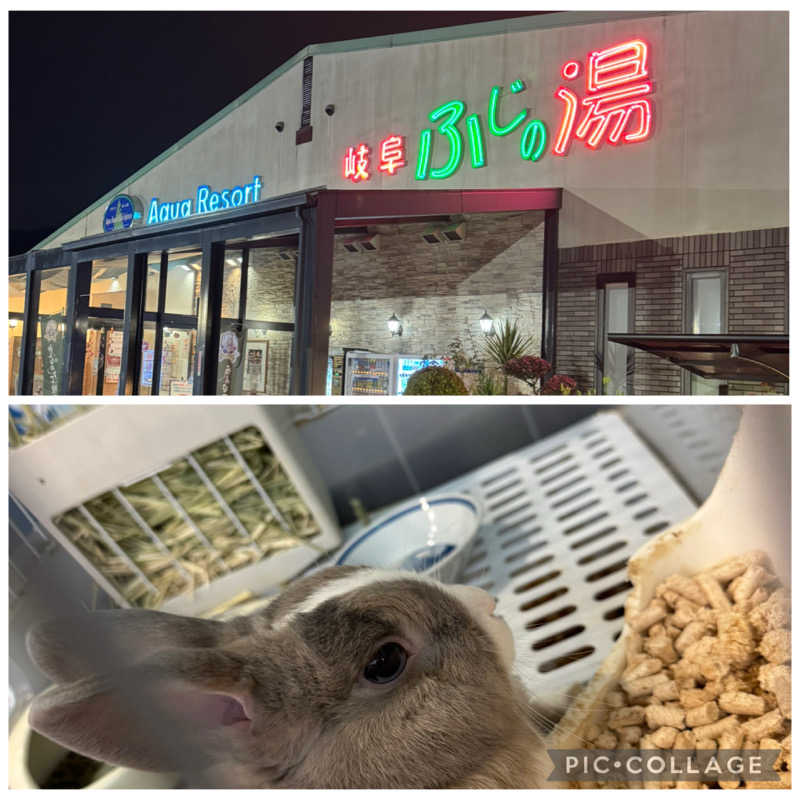 ニンジャチョーク　ポペガーー！さんのアクアリゾート 岐阜ふじの湯のサ活写真