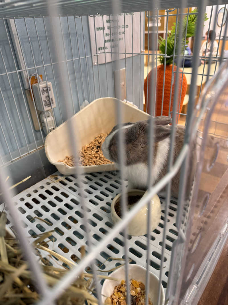 ニンジャチョーク　ポペガーー！さんのアクアリゾート 岐阜ふじの湯のサ活写真