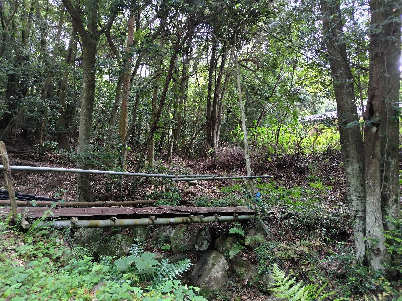 ジャグサウナーさんの東大寺別院阿弥陀寺 石風呂のサ活写真