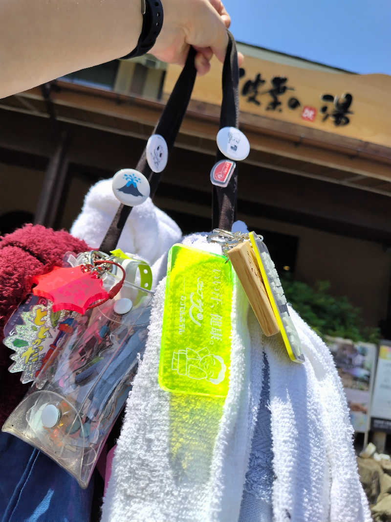 ジャグサウナーさんのみなと温泉 波葉の湯のサ活写真