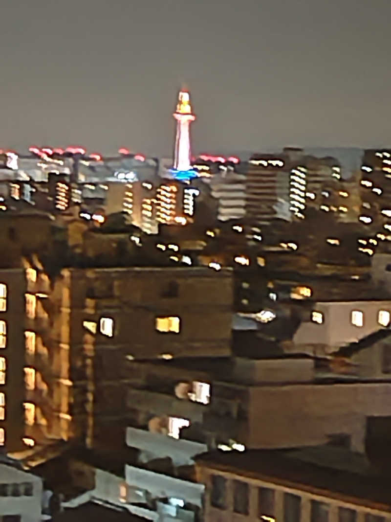 ジャグサウナーさんのサウナ&カプセルホテル ルーマプラザのサ活写真