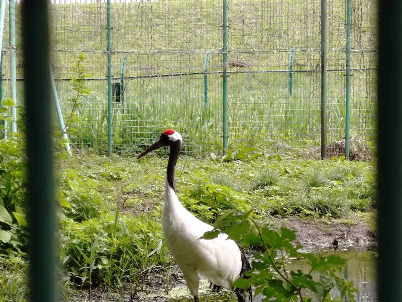 秒の男さんのせせらぎ温泉のサ活写真