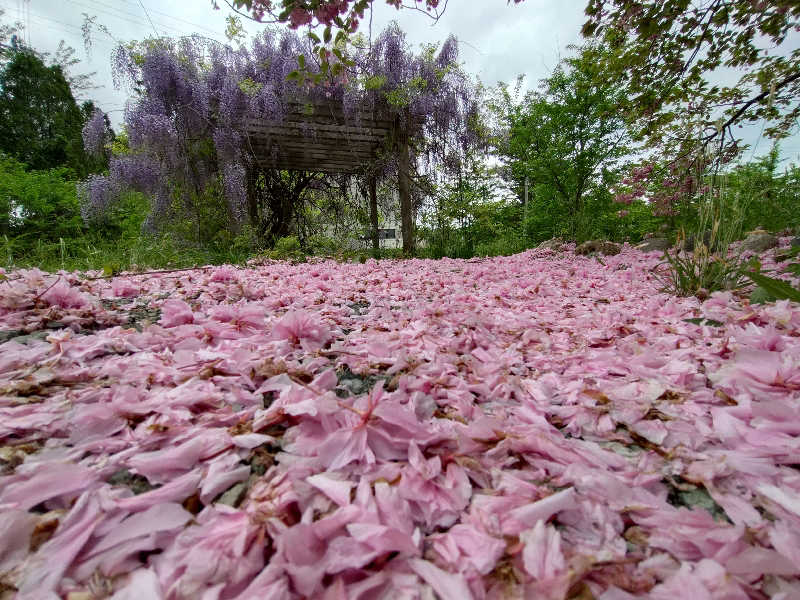 秒の男さんのせせらぎ温泉のサ活写真