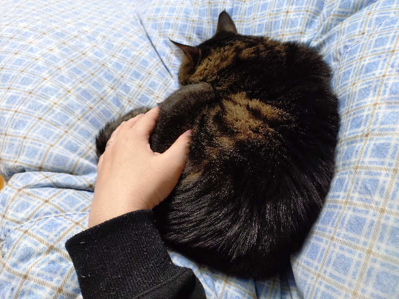 秒の男さんのからんころん温泉のサ活写真