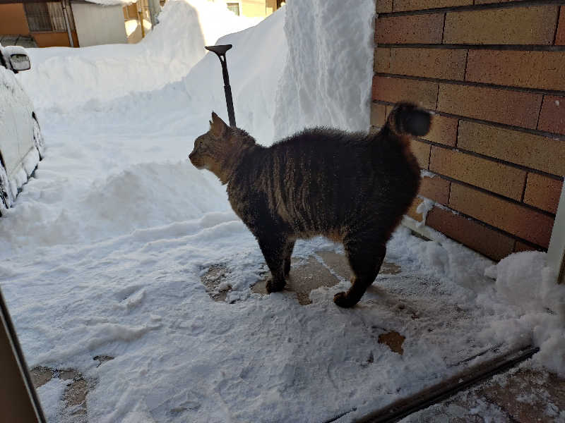 秒の男さんのやすらぎ温泉のサ活写真