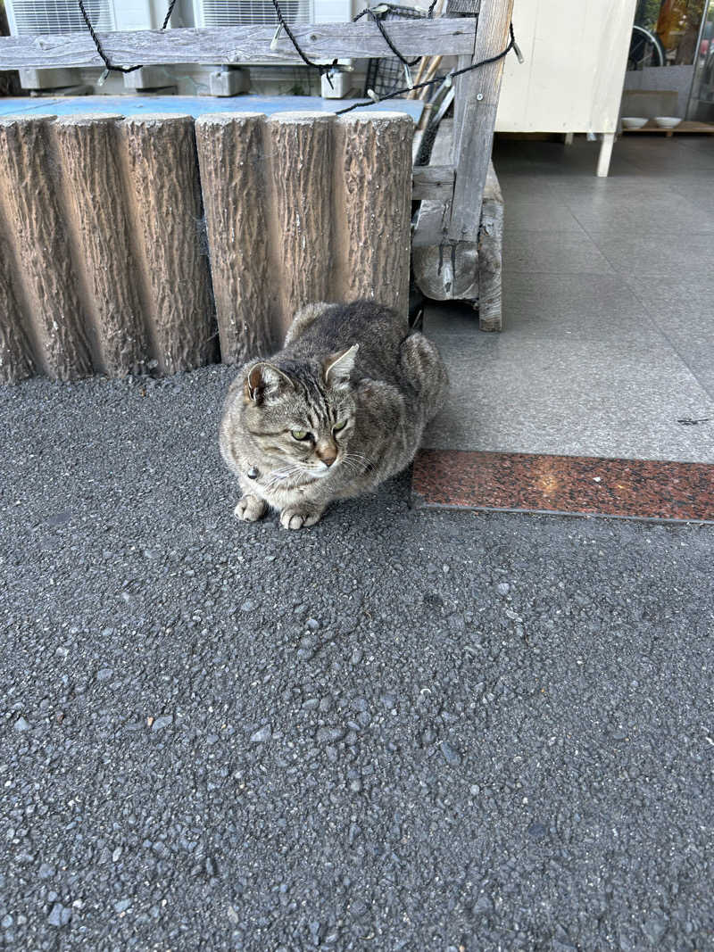 KAZU303さんのカルナパーク花立山温泉のサ活写真