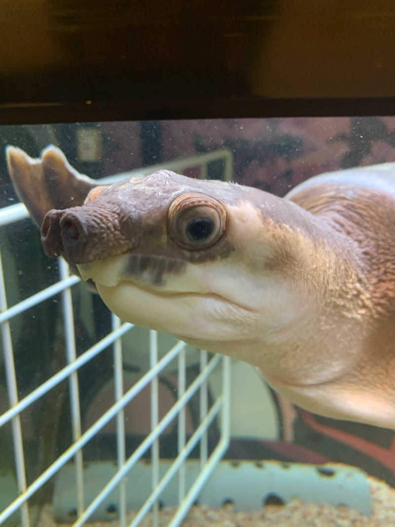 やや☆ぱぱさんの松本湯のサ活写真