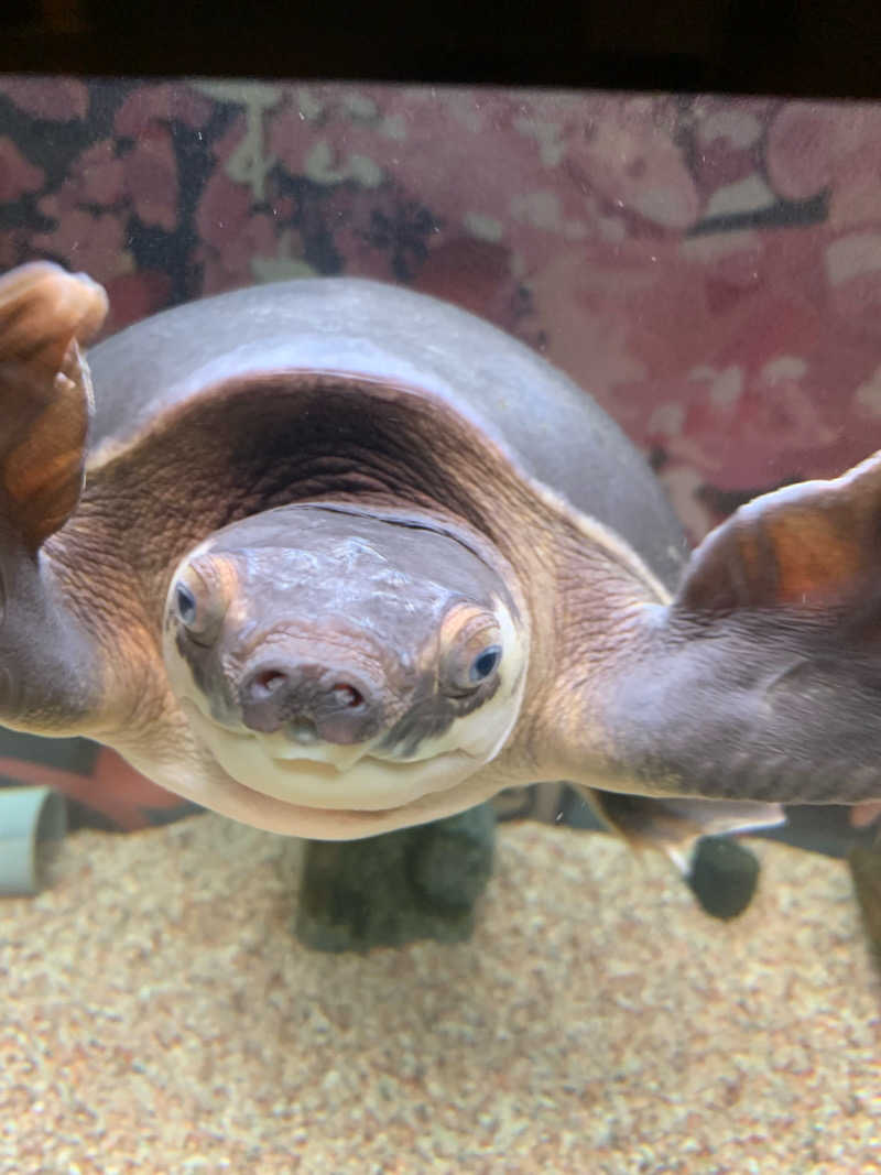 やや☆ぱぱさんの松本湯のサ活写真