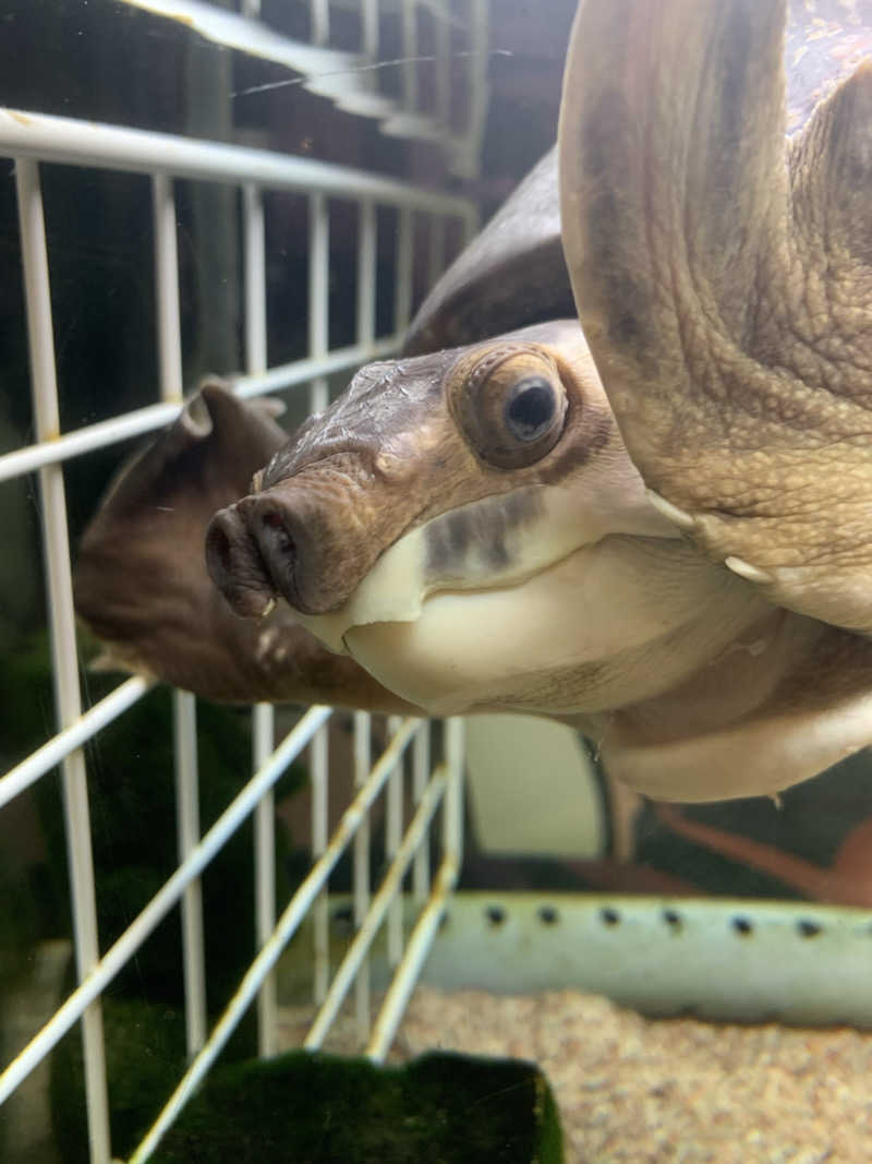 やや☆ぱぱさんの松本湯のサ活写真