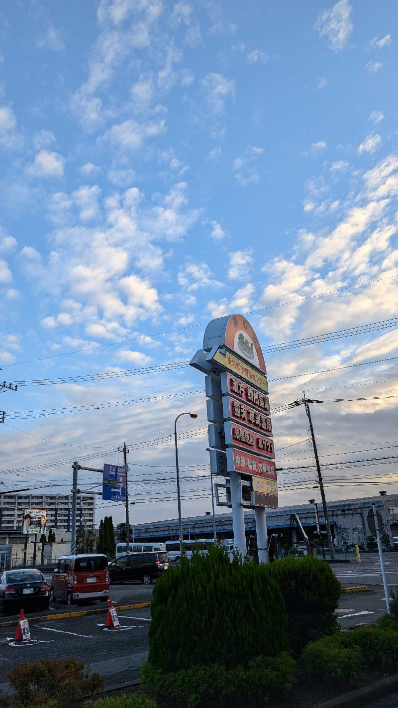 くれないの？豚さんの湯の泉 東名厚木健康センターのサ活写真