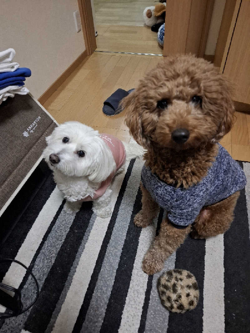 マイロサウナアスさんのクリスタルプラザのサ活写真