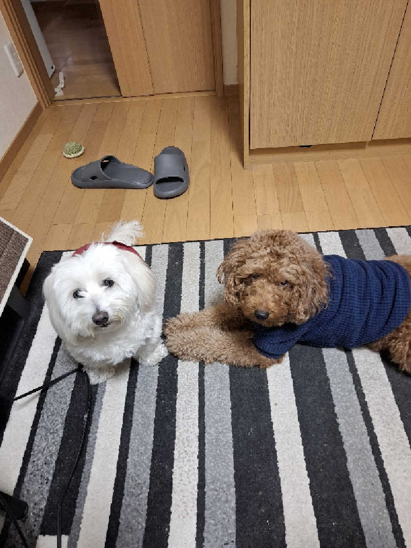 マイロサウナアスさんのサウナ&カプセルホテル レインボー新小岩店のサ活写真
