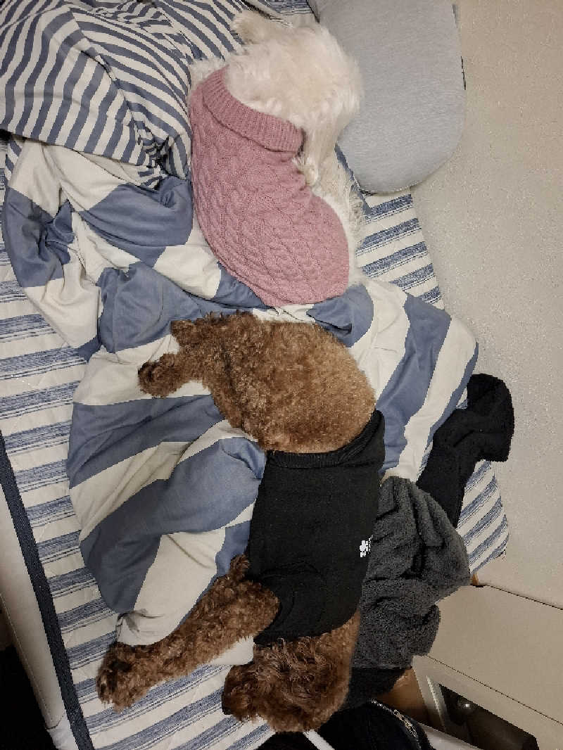 マイロサウナアスさんの上野ステーションホステル オリエンタル2のサ活写真