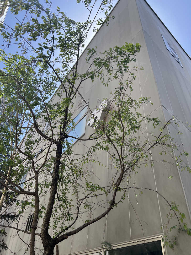 aaaさんの渋谷SAUNASのサ活写真