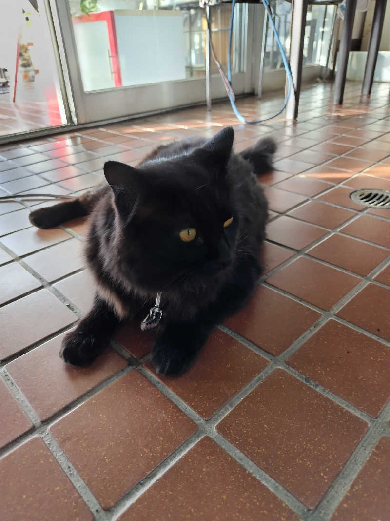 りくさんのポパイ温泉のサ活写真