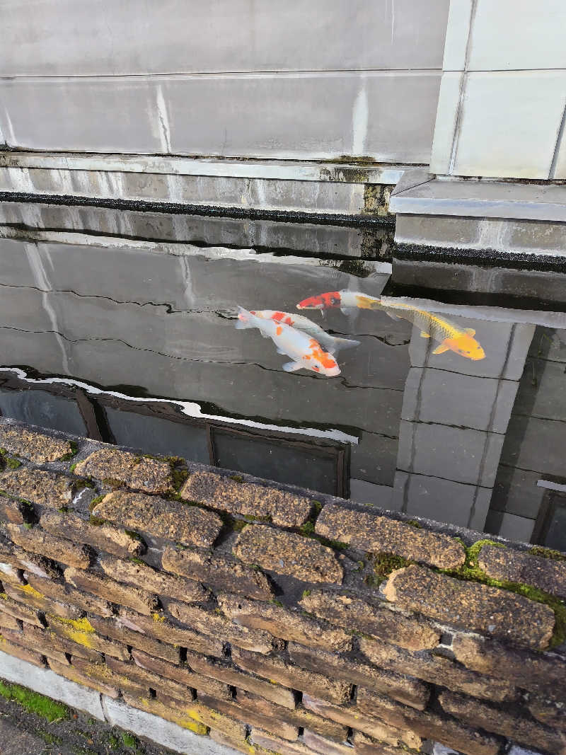 りくさんの宝温泉黒石のサ活写真