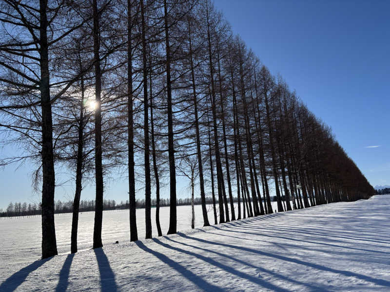 Masa Tさんの晩成温泉のサ活写真