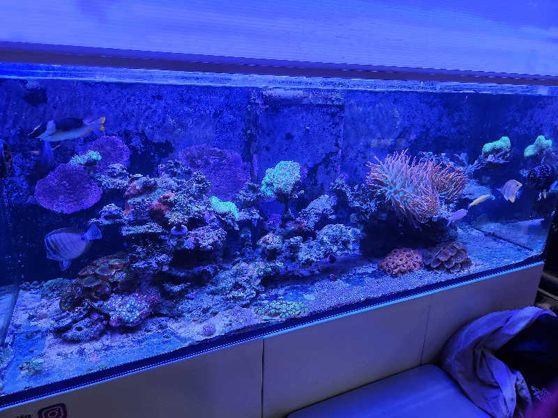 タカヒロさんの湯あそびひろば 二宮温泉のサ活写真