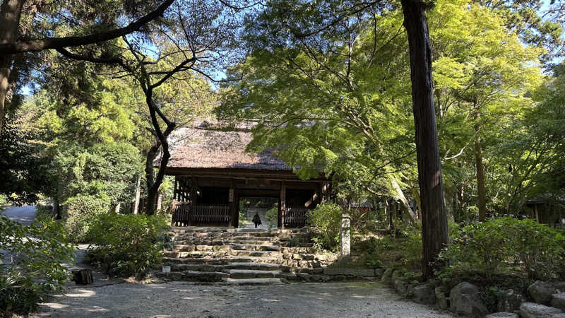 外気浴stonesさんの東大寺別院阿弥陀寺 石風呂のサ活写真