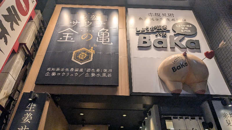 あさみさんの生姜サウナ 金の亀のサ活写真