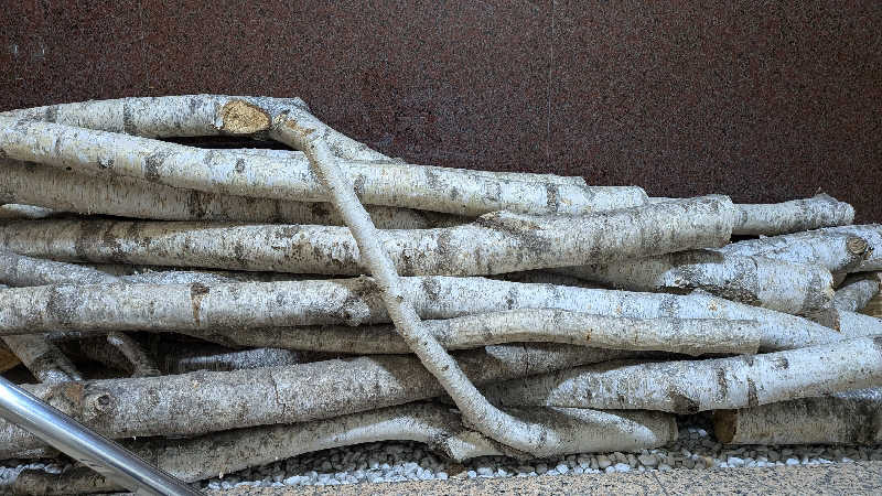 あさみさんのサウナ&カプセルホテルレインボー本八幡店のサ活写真