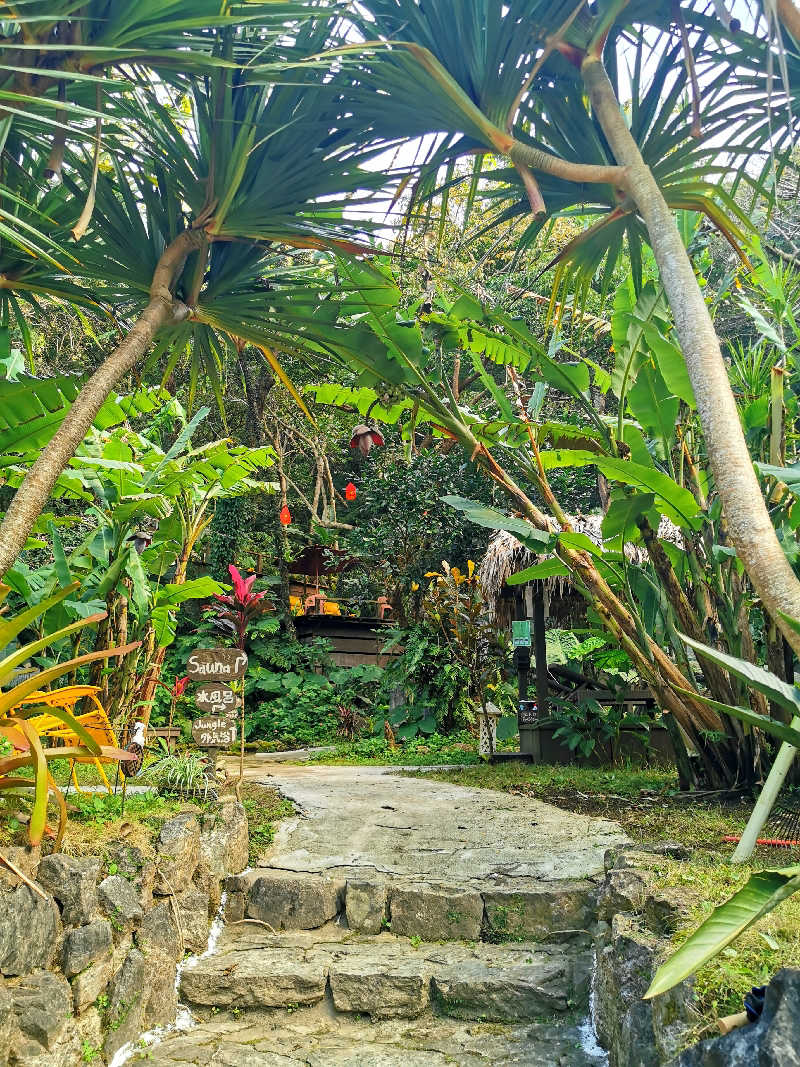 ナナナさんの亜熱帯サウナのサ活写真