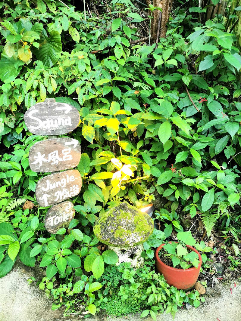 ナナナさんの亜熱帯サウナのサ活写真