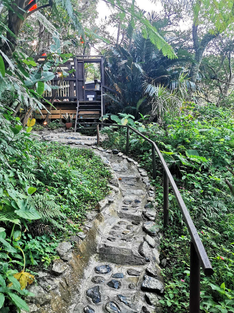 ナナナさんの亜熱帯サウナのサ活写真