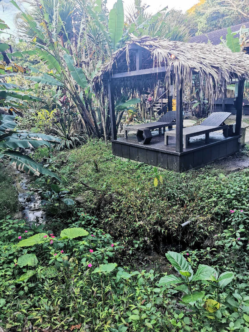 ナナナさんの亜熱帯サウナのサ活写真