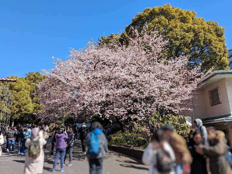 まるほ02nさんのSmart Stay SHIZUKU 上野駅前のサ活写真