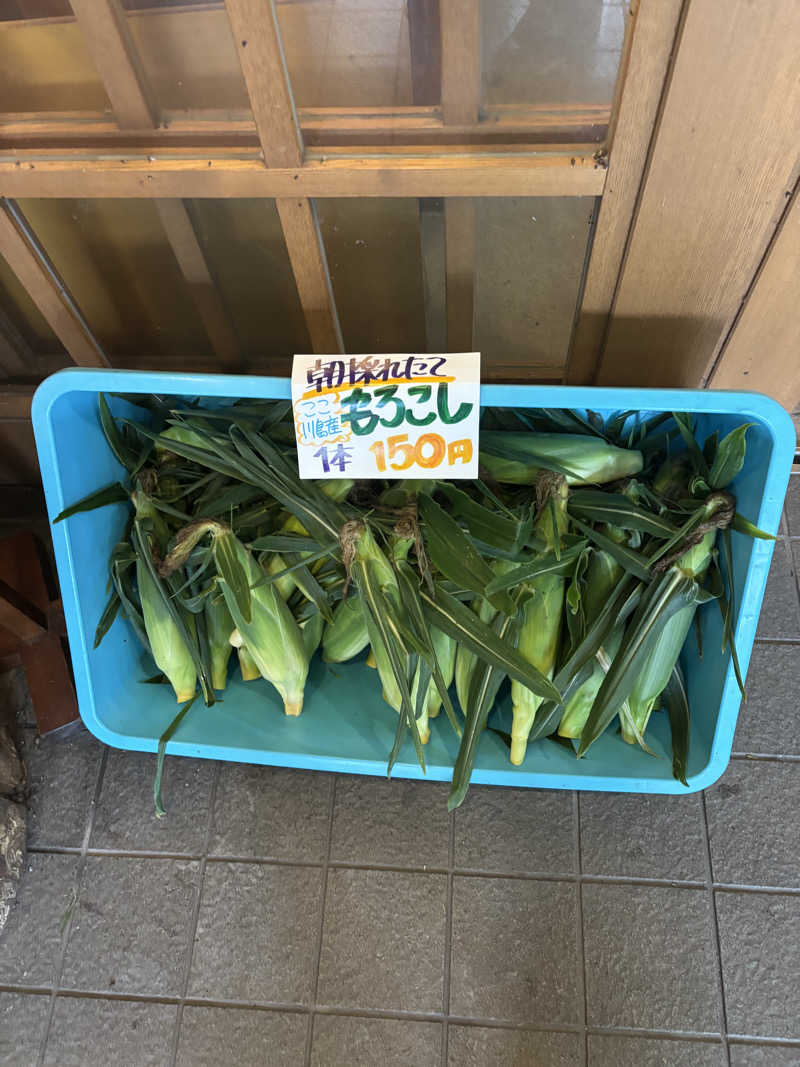 けんとさんのかやぶきの館のサ活写真