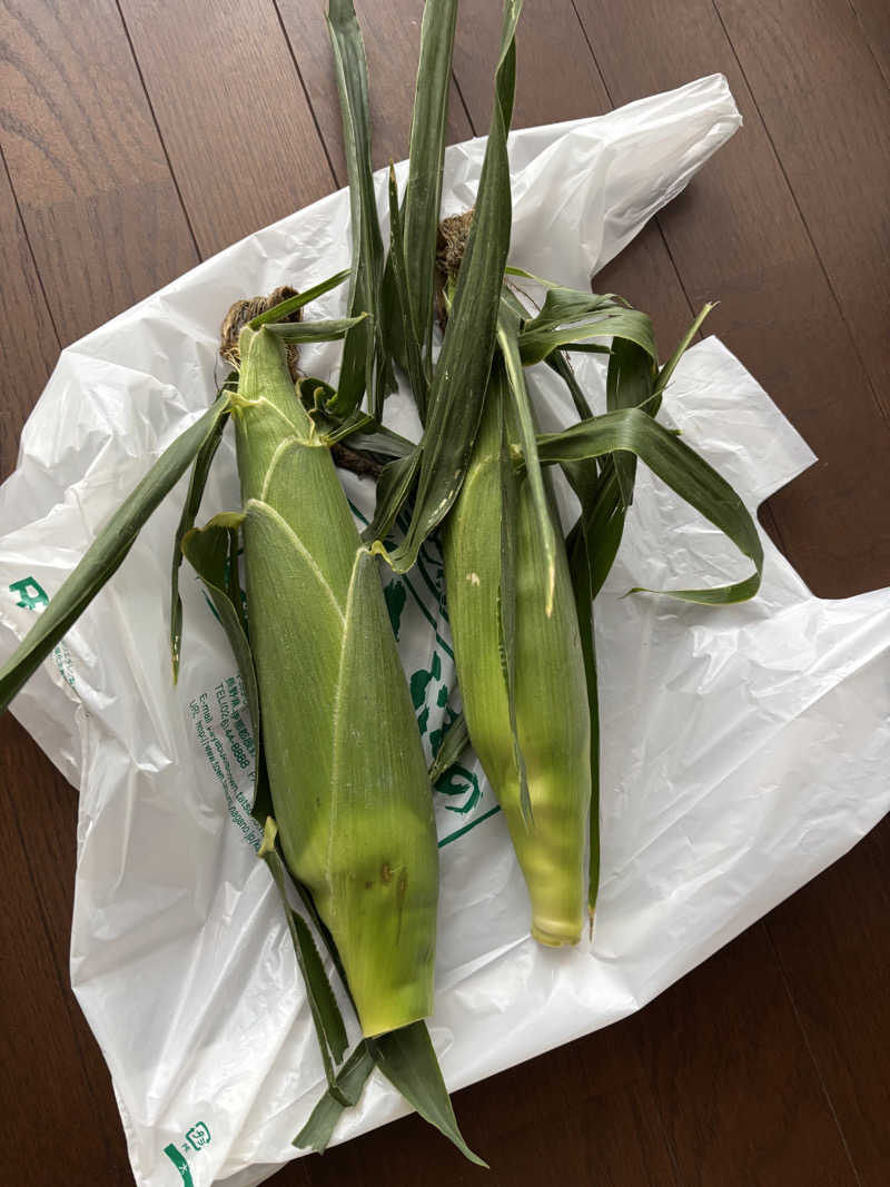 けんとさんのかやぶきの館のサ活写真