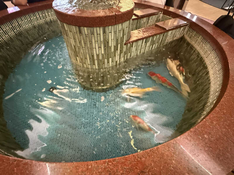 ぽちろんさんの夢の公衆浴場 五色のサ活写真