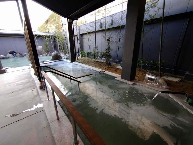 ZGMF-X250RRさんのスッカマ 源氏の湯のサ活写真