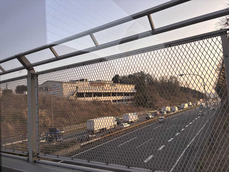 ゆき🍄さんのヨコヤマユーランド緑のサ活写真