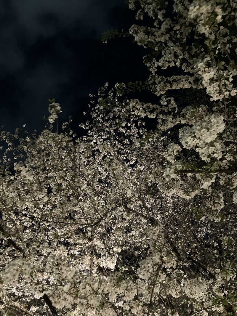 🐻‍❄️さんの東京染井温泉 SAKURAのサ活写真