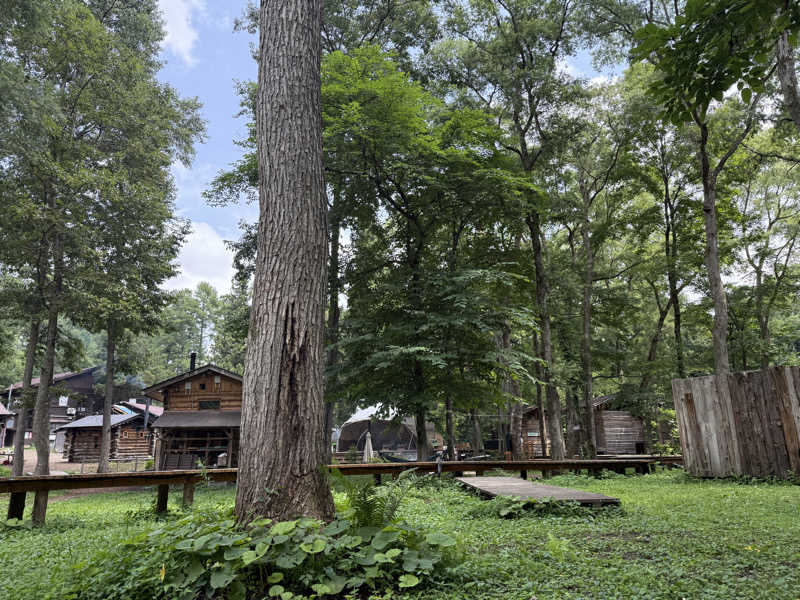 kobaさんのThe Saunaのサ活写真