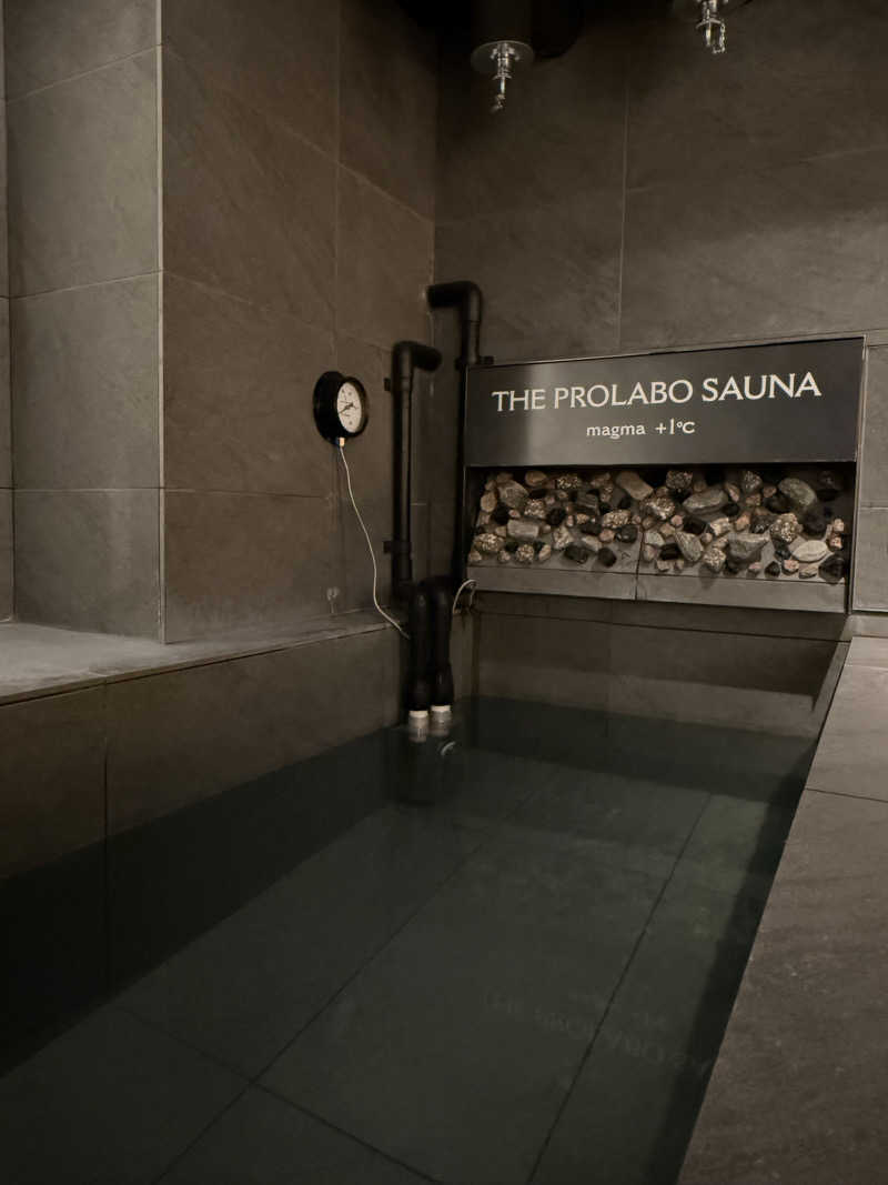 masakiさんのTHE PROLABO SAUNAのサ活写真
