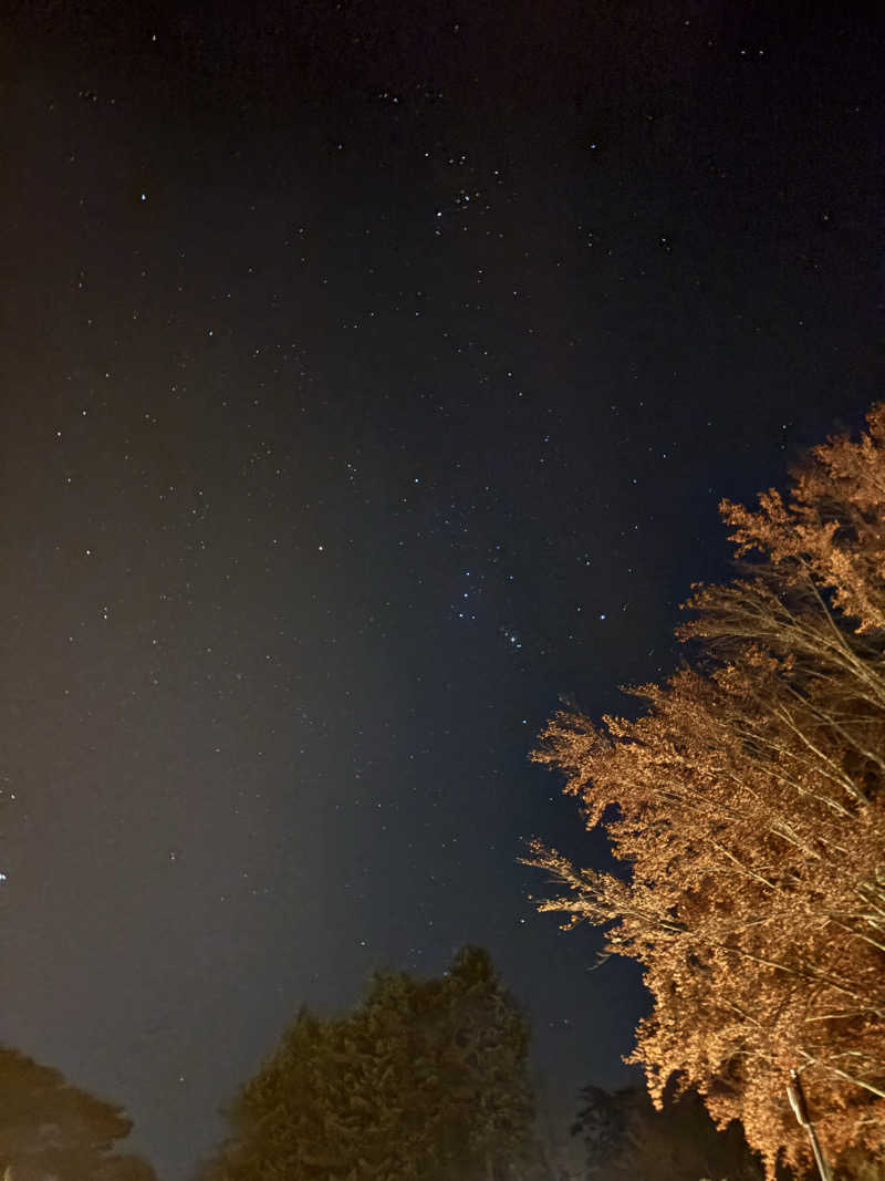 りここさんのグランピングヴィレッジ富士河口湖のサ活写真