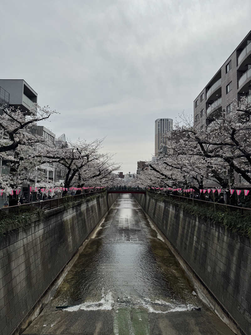 ﾁｮｳﾄﾞｲｲﾎﾞｰｲさんの文化浴泉のサ活写真